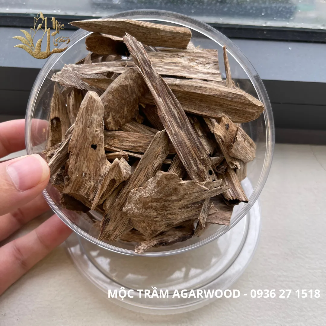 High-Oil Agarwood Chips – “Kien Toc” Vietnamese Wild Oud (Limited Collection | Multi-Weight Options)